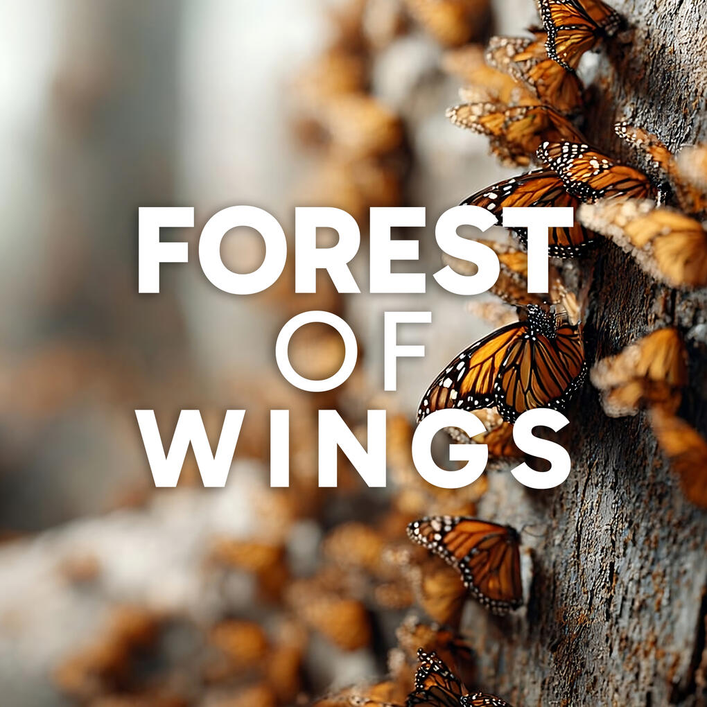 Forest of Wings